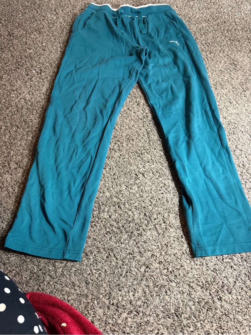 Puma Kids Teal Joggers with Drawstring Waist